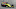 MONTEREY, CALIFORNIA – SEPTEMBER 19: Sebastien Bourdais #18 of France and SealMaster Honda (Photo by Chris Graythen/Getty Images)