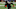 Chicago Bears, Brian Asamoah Chicago Bears, Brian Asamoah