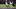 BALTIMORE, MD – DECEMBER 31: Wide Receiver Mike Wallace