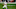 Five NFL teams who will have a new quarterback in 2021 Five NFL teams who will have a new quarterback in 2021