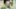 The Good Neighbor - Courtesy of Vertical Entertainment The Good Neighbor - Courtesy of Vertical Entertainment