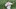 Boston Red Sox Boston Red Sox