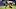 Detroit Lions Detroit Lions