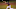 Oakland Athletics Oakland Athletics
