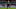 Jesse Lingard, West Ham. Jesse Lingard, West Ham.