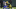 Green Bay Packers Green Bay Packers