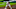 Houston Astros first baseman Yuli Gurriel Houston Astros first baseman Yuli Gurriel