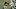 Philadelphia Eagles James Conner
