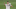 Real Madrid, Luka Jovic Real Madrid, Luka Jovic