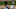 FanDuel MLB FanDuel MLB