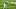 Chris Manhertz, Tim Tebow, Jacksonville Jaguars Chris Manhertz, Tim Tebow, Jacksonville Jaguars