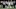 2021 NFL Season, 2021 NFL Draft 2021 NFL Season, 2021 NFL Draft