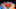 jeff hornacek jeff hornacek