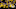 Golden State Warriors Golden State Warriors