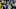Green Bay Packers Green Bay Packers