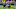 Green Bay Packers Green Bay Packers