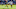 Green Bay Packers
