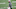 EAST RUTHERFORD, NEW JERSEY – OCTOBER 01: Head coach Vic Fangio of the Denver Broncos yells at his players to get off the field following a win against the New York Jets at MetLife Stadium on October 01, 2020 in East Rutherford, New Jersey. (Photo by Elsa/Getty Images)