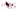 Arizona Coyotes Arizona Coyotes