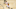 Malachi Flynn, Toronto Raptors Malachi Flynn, Toronto Raptors