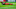 Toronto FC Toronto FC