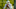 Feleipe Franks, 2021 NFL Draft Feleipe Franks, 2021 NFL Draft