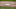 FanDuel MLB FanDuel MLB