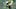 Dustin Johnson FedEx Cup Northern Trust Dustin Johnson FedEx Cup Northern Trust