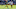 Green Bay Packers Green Bay Packers