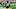 Green Bay Packers Green Bay Packers
