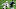 Devin McCourty Devin McCourty