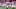 Alabama Football Alabama Football