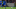 Schalke 04, Weston McKennie
