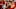 Kansas City Chiefs Kansas City Chiefs