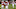 LINCOLN, NE – NOVEMBER 12: Place kicker Spencer Lindsay LINCOLN, NE – NOVEMBER 12: Place kicker Spencer Lindsay