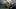 Bill Parcells, Dallas Cowboys Bill Parcells, Dallas Cowboys