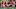 Kansas City Chiefs