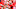 ATHENS, GA – SEPTEMBER 15: Justin Fields #1 of the Georgia Bulldogs passes against the Middle Tennessee Blue Raiders on September 15, 2018 at Sanford Stadiuym in Athens, Georgia. (Photo by Scott Cunningham/Getty Images) ATHENS, GA – SEPTEMBER 15: Justin Fields #1 of the Georgia Bulldogs passes against the Middle Tennessee Blue Raiders on September 15, 2018 at Sanford Stadiuym in Athens, Georgia. (Photo by Scott Cunningham/Getty Images)