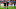 Bayern Munich Bayern Munich