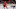 Detroit Red Wings, Robert Hagg Detroit Red Wings, Robert Hagg