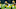 Green Bay Packers Green Bay Packers