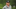 Jason Kokrak of the United States looks on on the sixth hole during a practice round prior to the Travelers Championship. Jason Kokrak of the United States looks on on the sixth hole during a practice round prior to the Travelers Championship.
