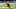 2023 NFL Draft 2023 NFL Draft