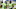 Seattle Seahawks Seattle Seahawks
