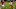 Travis Etienne 2020 NFL Draft Travis Etienne 2020 NFL Draft