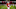 RALEIGH, NC – NOVEMBER 04: Ryan Finley #15 of the North Carolina State Wolfpack walks off the field after being defeated by the Clemson Tigers 38-31 at Carter Finley Stadium on November 4, 2017 in Raleigh, North Carolina. (Photo by Streeter Lecka/Getty Images) RALEIGH, NC – NOVEMBER 04: Ryan Finley #15 of the North Carolina State Wolfpack walks off the field after being defeated by the Clemson Tigers 38-31 at Carter Finley Stadium on November 4, 2017 in Raleigh, North Carolina. (Photo by Streeter Lecka/Getty Images)