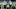 Green Bay Packers Green Bay Packers