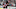 New Jersey Devils New Jersey Devils