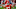 Travis Kelce, Kansas City Chiefs Travis Kelce, Kansas City Chiefs