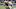Nate Solder Patriots Nate Solder Patriots